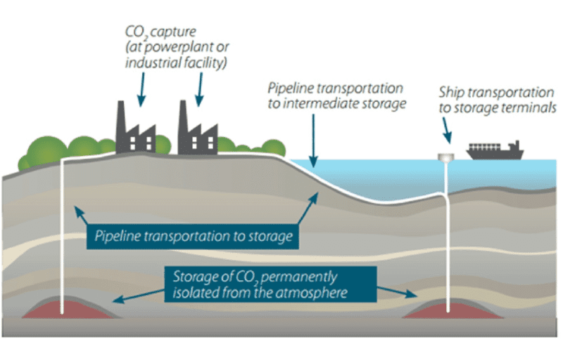 Cách doanh nghiệp điện thu giữ và lưu trữ carbon