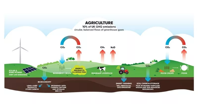 Cách ngành nông nghiệp ở Anh tiến đến trung hòa carbon