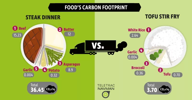Carbon footprint trong ngành thực phẩm