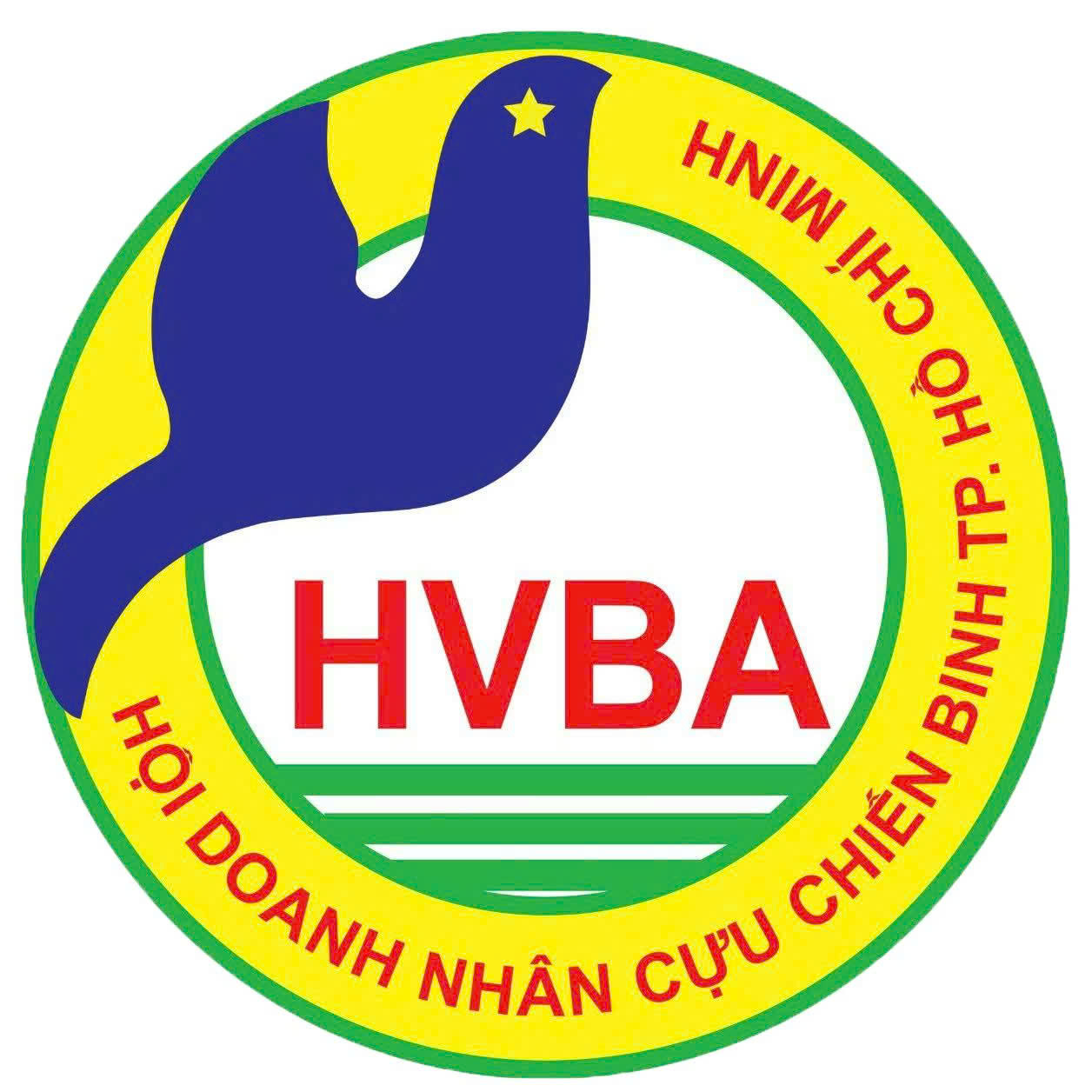 logo_Hội Doanh nhân Cựu Chiến Binh TPHCM